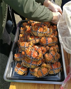 join_welfare_4 join_welfare_4